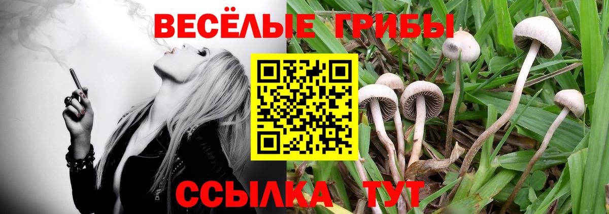 Галлюциногенные грибы Magic Shrooms Тулун