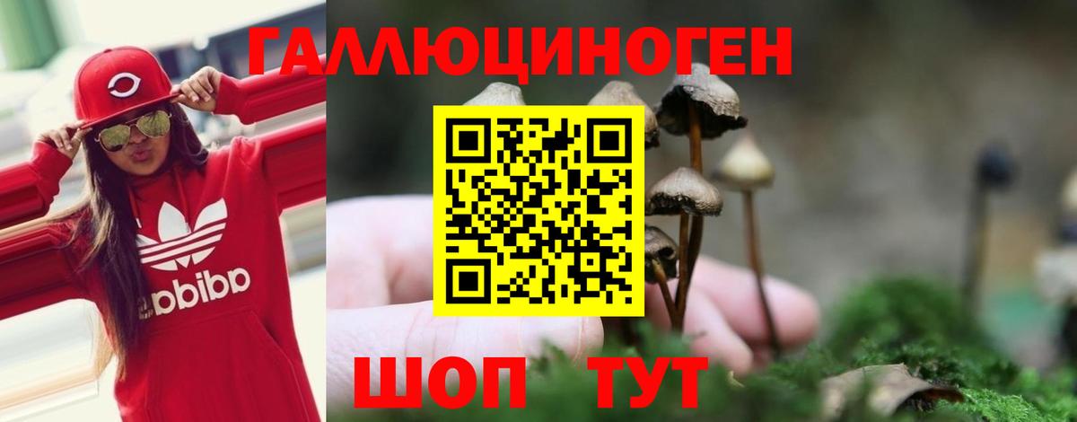 Псилоцибиновые грибы Psilocybine cubensis  Псилоцибиновые грибы мухоморы  Вход с VPN  Тулун 